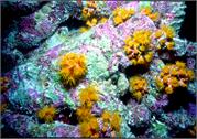 Bonaire 17